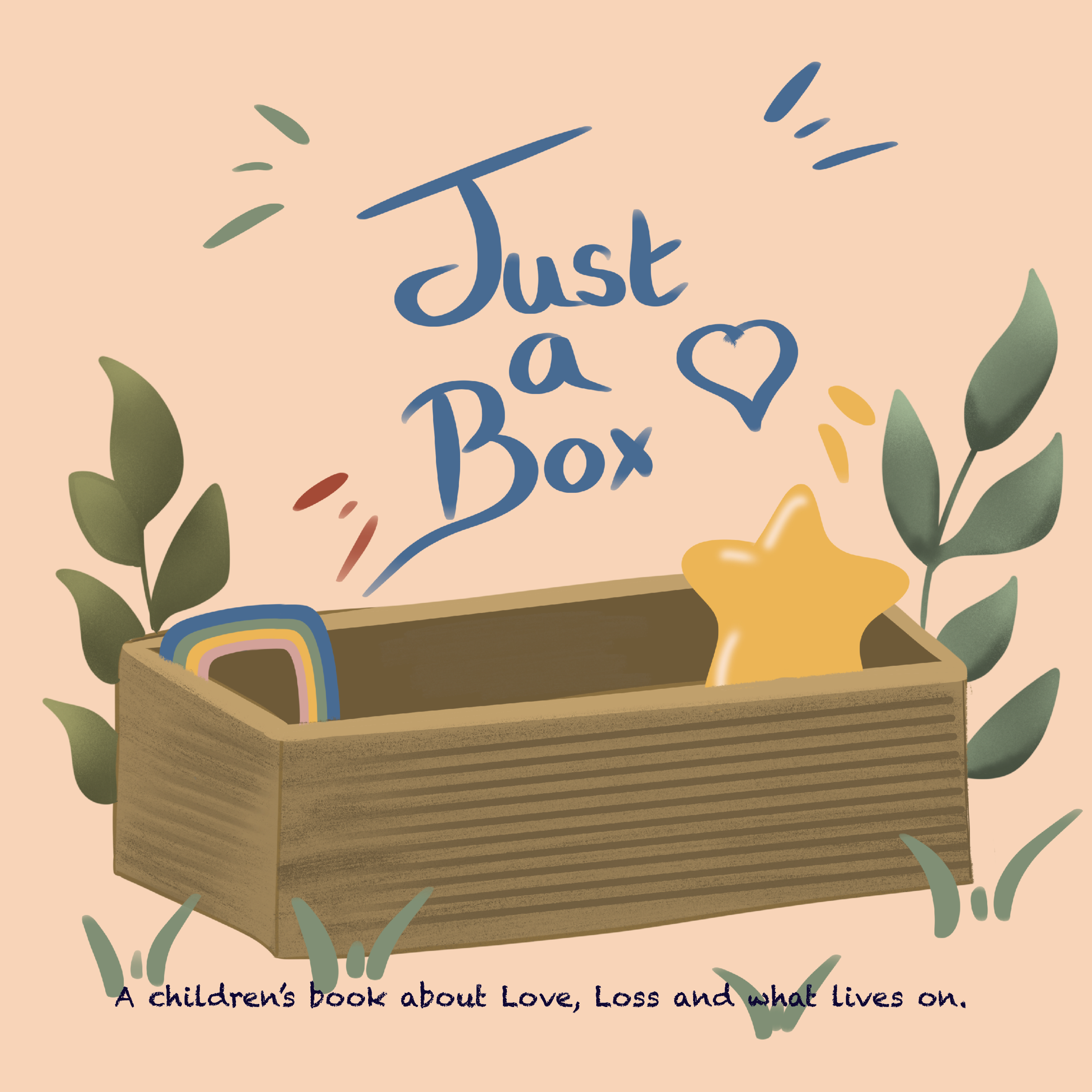Just A Box book cover
